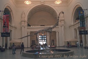 Field Museum